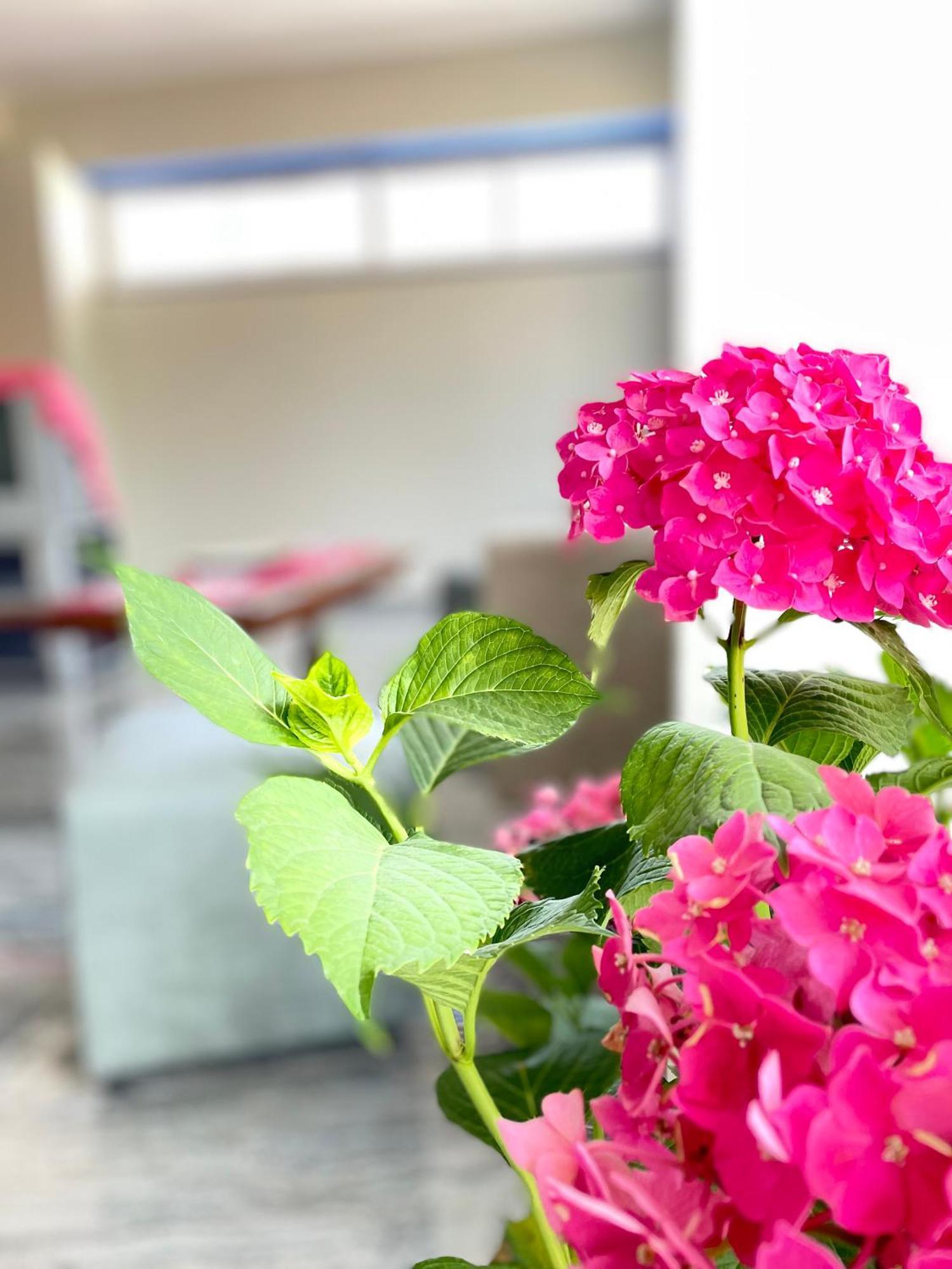 Marku Palace Apartament Ksamil